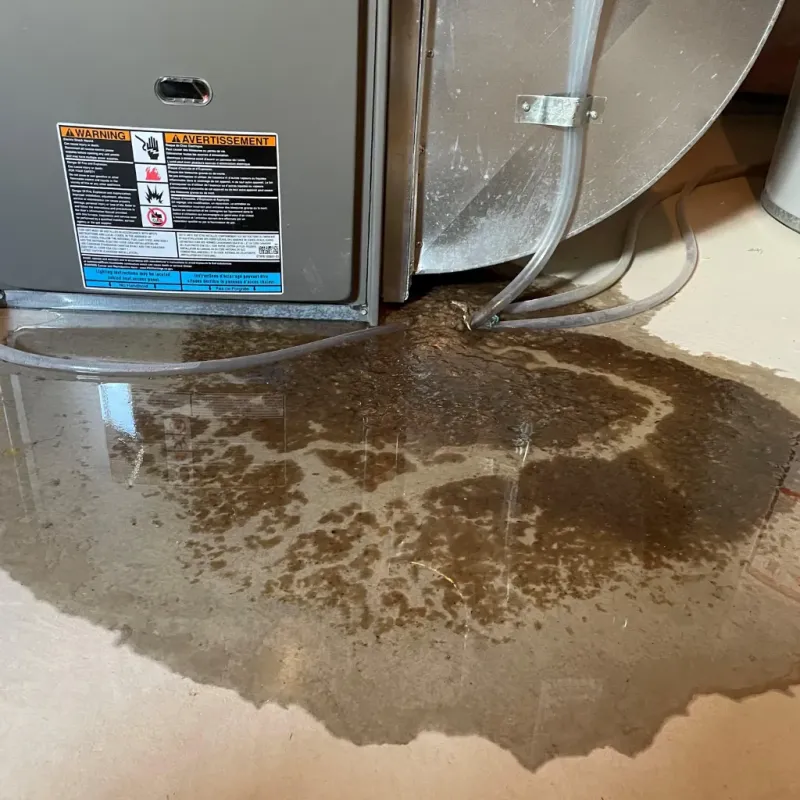 Appliance Leak Cleanup in Sierra Vista Southeast, AZ