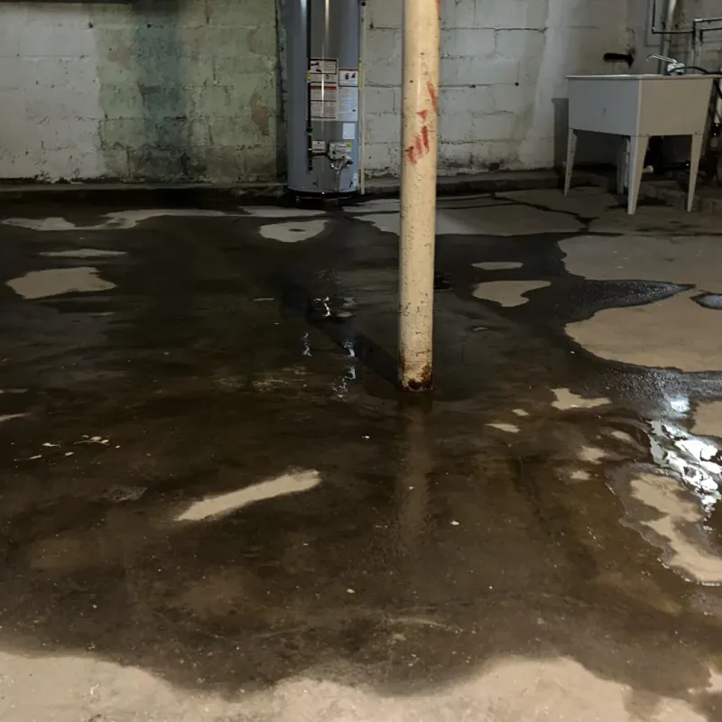 Emergency Water Extraction And Removal in Sierra Vista Southeast, AZ